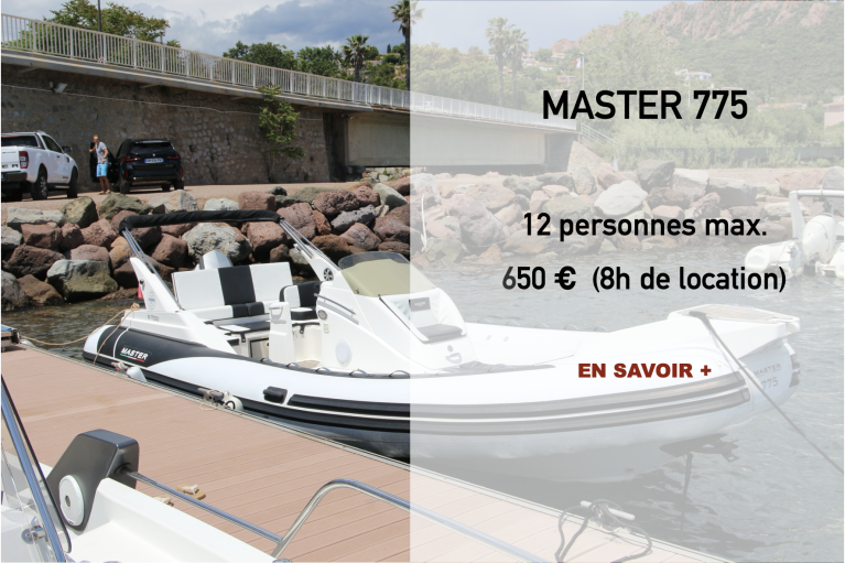 + Sur Master 775